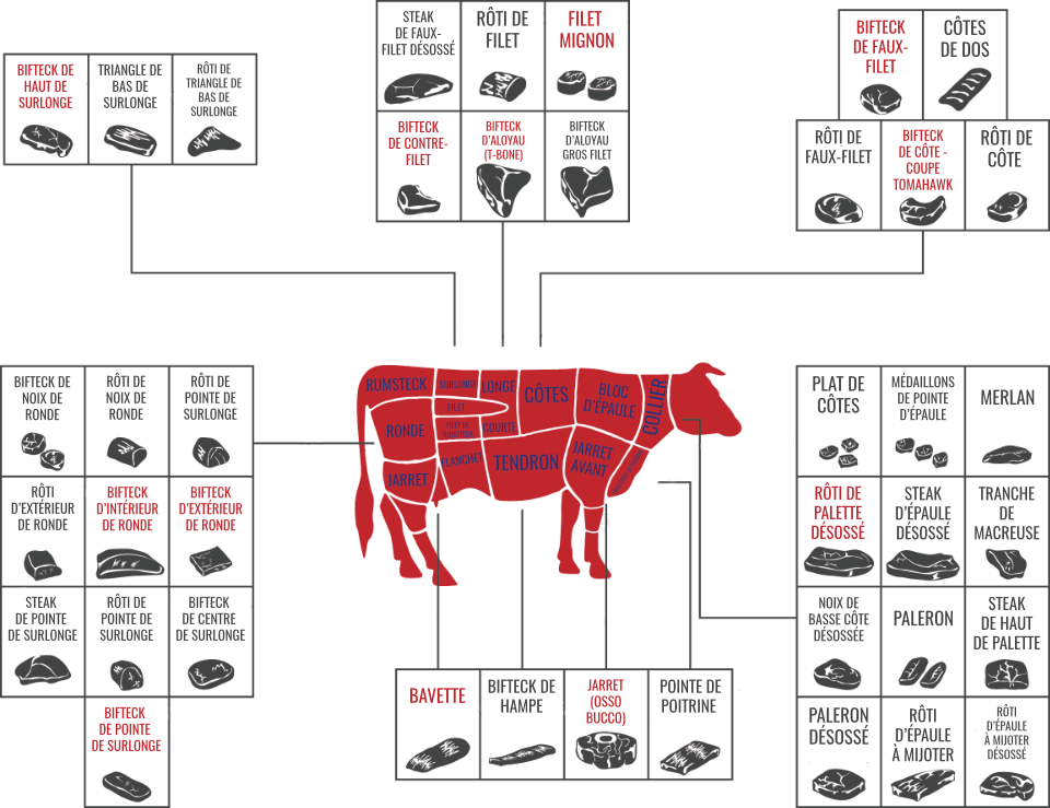 Découvrez les différentes coupes de bœuf et leurs spécificités!