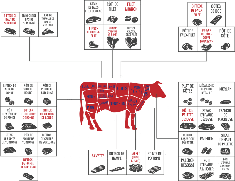 Discover the different cuts of beef and their specificities!