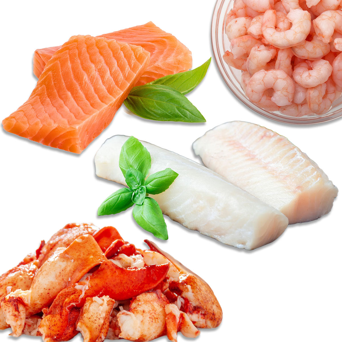 Poissons et Fruits de Mer